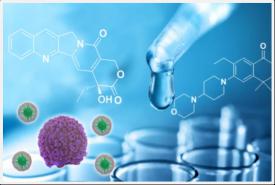 年产500kg抗肿瘤原料药出产基地建设项目可行性钻研