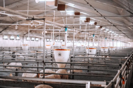 现代化养殖种植生态循环产业基地项目可行性钻研汇报