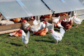 现代化规；臣巴涝准庸は钅靠尚行宰暄谢惚