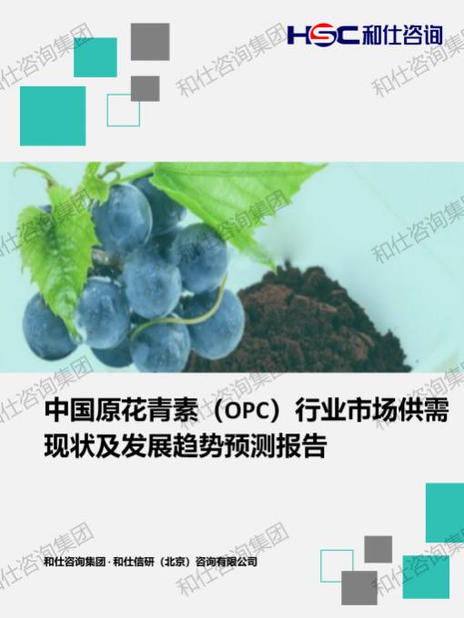 俄罗斯专享会·(中国区)官网