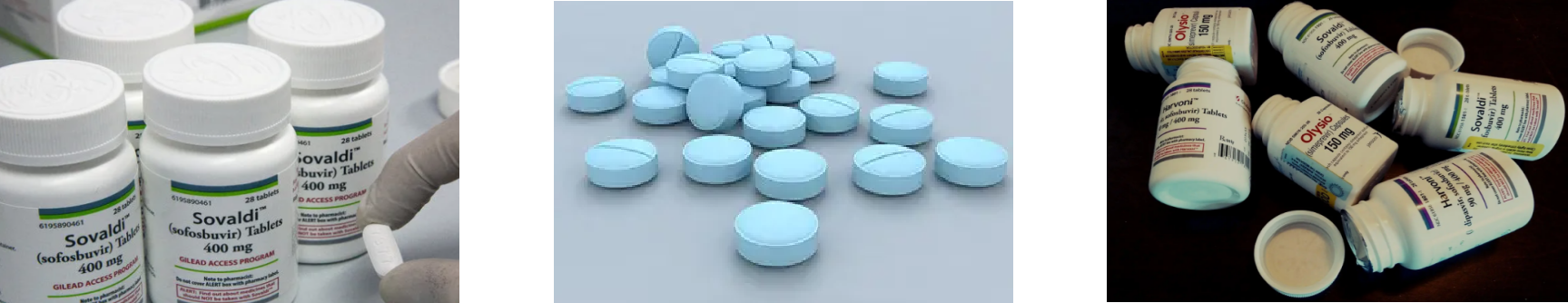 俄罗斯专享会·(中国区)官网