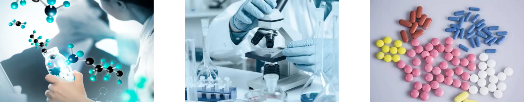 俄罗斯专享会·(中国区)官网