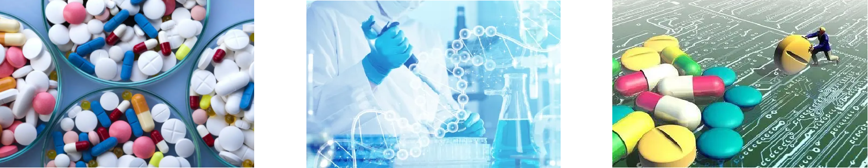 俄罗斯专享会·(中国区)官网