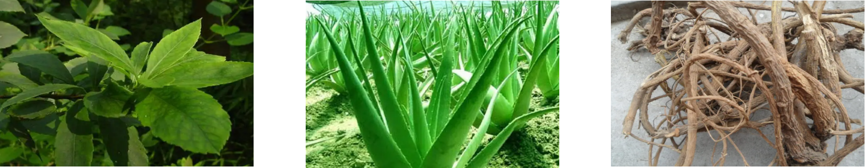 俄罗斯专享会·(中国区)官网