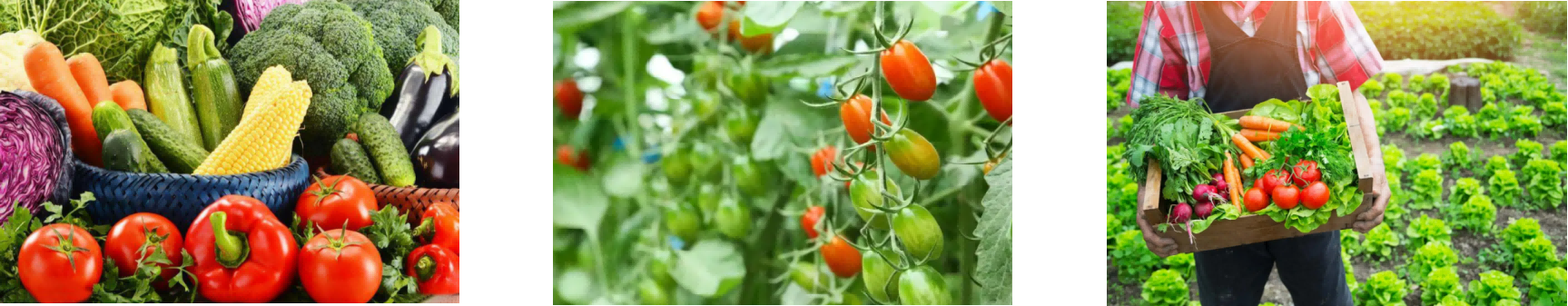 俄罗斯专享会·(中国区)官网