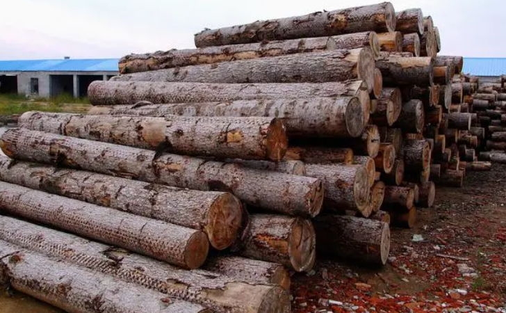 俄罗斯专享会·(中国区)官网