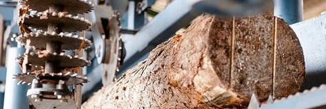 俄罗斯专享会·(中国区)官网