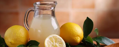 俄罗斯专享会·(中国区)官网