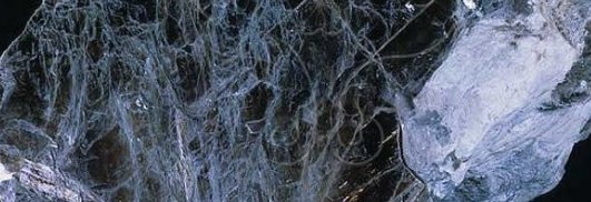 俄罗斯专享会·(中国区)官网