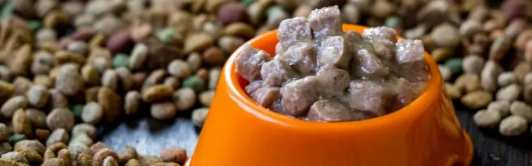 俄罗斯专享会·(中国区)官网