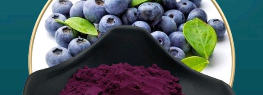 俄罗斯专享会·(中国区)官网