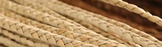 俄罗斯专享会·(中国区)官网