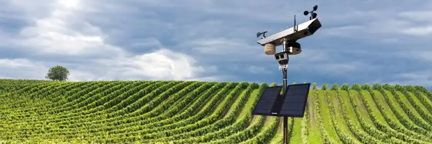 俄罗斯专享会·(中国区)官网