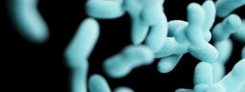 俄罗斯专享会·(中国区)官网