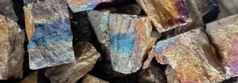 俄罗斯专享会·(中国区)官网