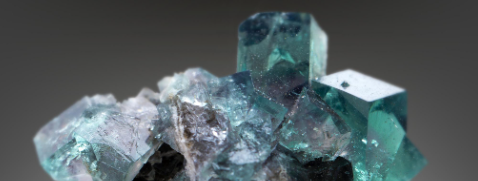 俄罗斯专享会·(中国区)官网