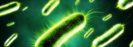 俄罗斯专享会·(中国区)官网