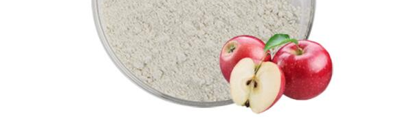 俄罗斯专享会·(中国区)官网