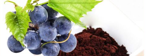 俄罗斯专享会·(中国区)官网