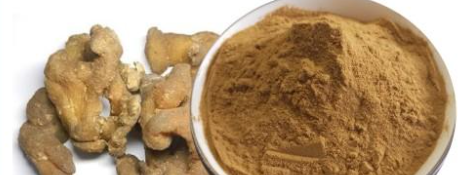 俄罗斯专享会·(中国区)官网