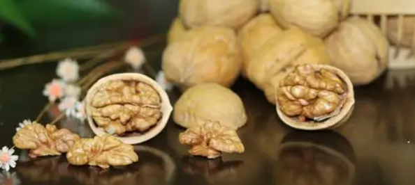 俄罗斯专享会·(中国区)官网