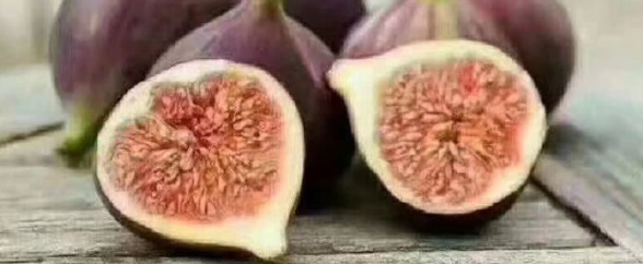 俄罗斯专享会·(中国区)官网