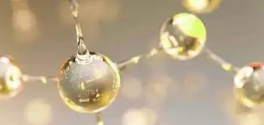 俄罗斯专享会·(中国区)官网