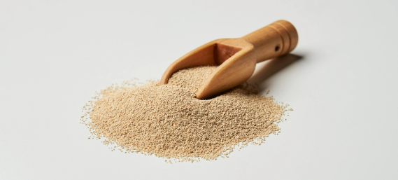 俄罗斯专享会·(中国区)官网