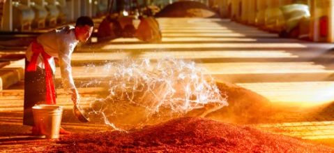 俄罗斯专享会·(中国区)官网