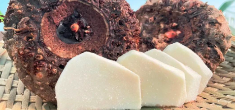 俄罗斯专享会·(中国区)官网