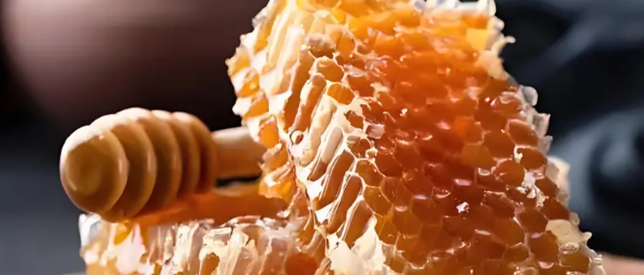 俄罗斯专享会·(中国区)官网