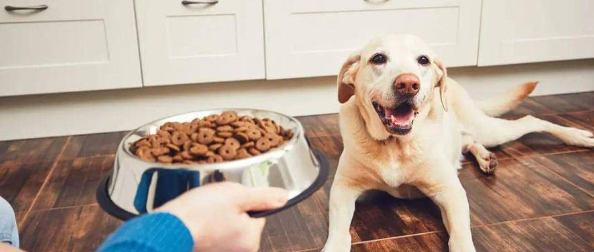 俄罗斯专享会·(中国区)官网