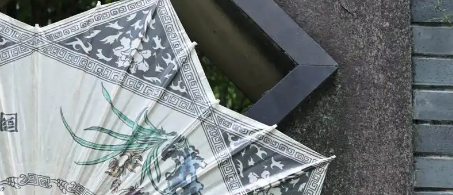 俄罗斯专享会·(中国区)官网