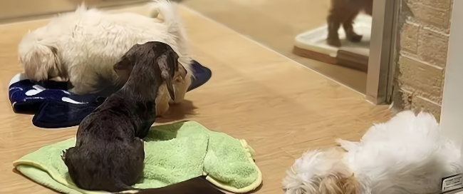 俄罗斯专享会·(中国区)官网