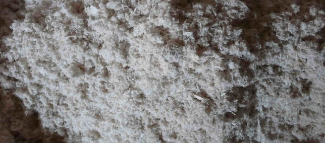 俄罗斯专享会·(中国区)官网