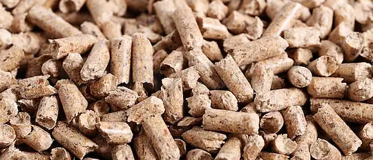 俄罗斯专享会·(中国区)官网