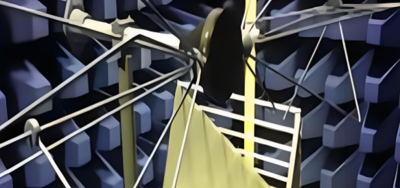 俄罗斯专享会·(中国区)官网