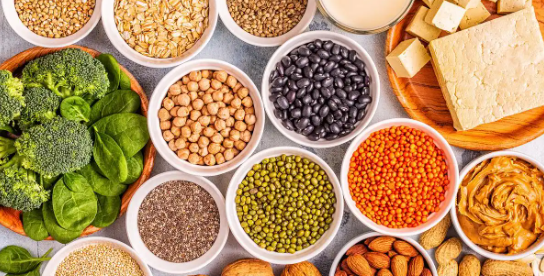 俄罗斯专享会·(中国区)官网