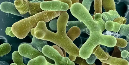 俄罗斯专享会·(中国区)官网