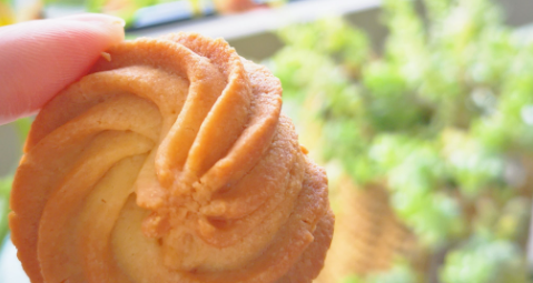 俄罗斯专享会·(中国区)官网