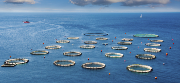 俄罗斯专享会·(中国区)官网