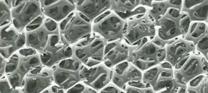 俄罗斯专享会·(中国区)官网