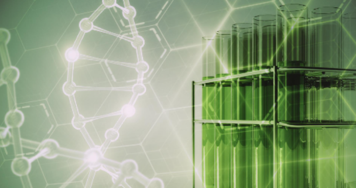 俄罗斯专享会·(中国区)官网