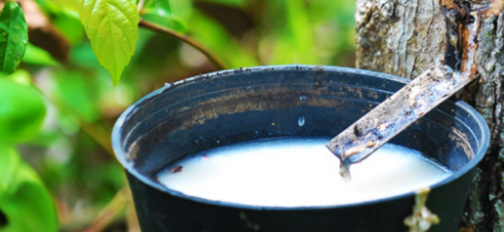 俄罗斯专享会·(中国区)官网