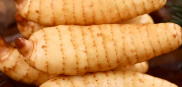 俄罗斯专享会·(中国区)官网