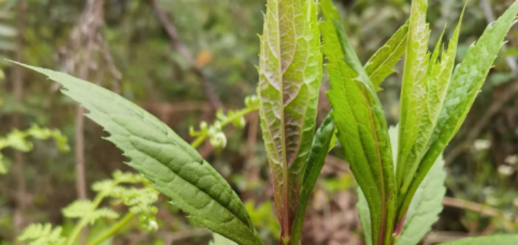 俄罗斯专享会·(中国区)官网