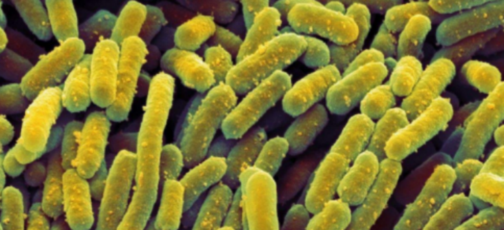 俄罗斯专享会·(中国区)官网