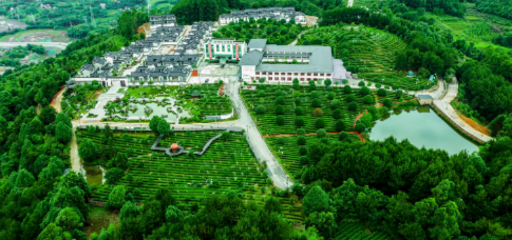 俄罗斯专享会·(中国区)官网