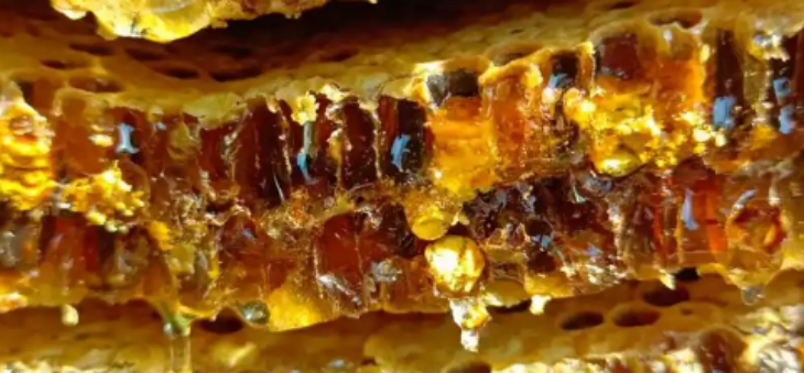 俄罗斯专享会·(中国区)官网