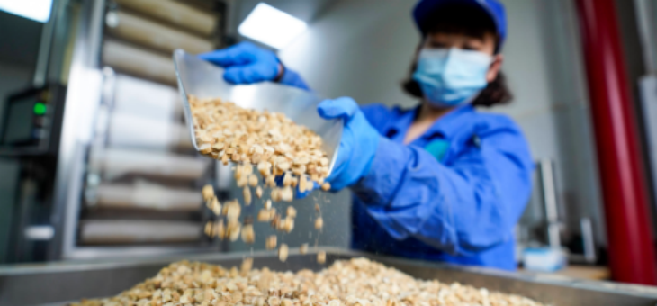 俄罗斯专享会·(中国区)官网